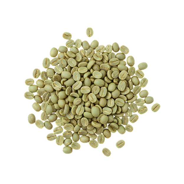 Green coffee beans — natural caffeine source in Neuro Energy Gum